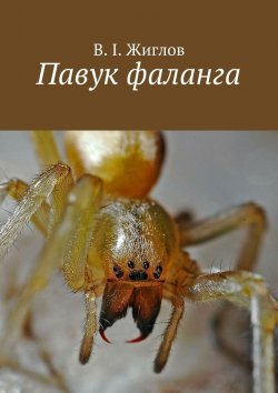 Книга "Павук фаланга" – В. И. Жиглов, В. Жиглов