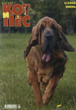 Книга "Кот и Пёс №5/2008" – , 2008