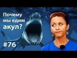 Книга "Почему мы едим акул?" – Евгения Тимонова