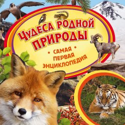 Книга "Чудеса родной природы" – Ирина Травина, 2016