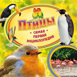 Книга "Птицы" – Ирина Травина, 2013