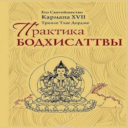 Книга "Практика Бодхисаттвы" – Третий Кармапа Ранджунг Дордже, 2013