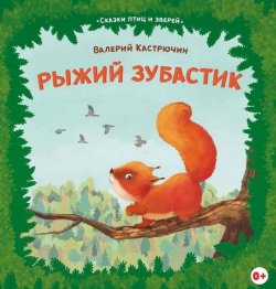 Книга "Рыжий Зубастик" – Валерий Кастрючин, 2016