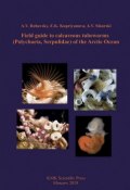 Field guide to calcareous tubeworms (Polychaeta, Serpulidae) of the Arctic Ocean (V. A. , 2018)