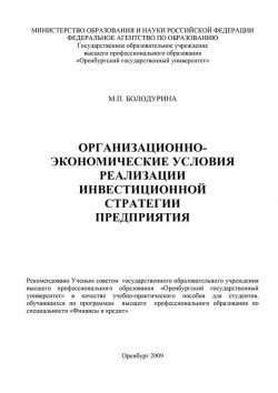 Книга "Организационно-экономические условия реализации инвестиционной стратегии предприятия" – М. Болодурина, 2009