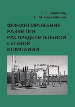 Книга "Финансирование развития распределительной сетевой компании" – С. Е. Барыкин, 2013