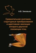 Сравнительная анатомия, структурные преобразования и адаптивная эволюция аппарата двуногой локомоции птиц (, 2010)