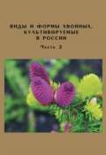 Виды и формы хвойных, культивируемые в России. Часть 2. Picea A. Dietr., Thuja L. (, 2009)