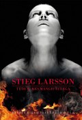 Tüdruk, kes mängis tulega (Ларссон Стиг, Stieg Larsson, Stieg Larsson, Stieg Larsson, 2011)