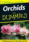 Orchids For Dummies (The Book of Edef, The Arbinger Institute, The Ksenechka Davidson)