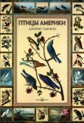 Птицы Америки (Евгений Коблик, 2007)