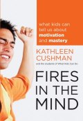 Fires in the Mind. What Kids Can Tell Us About Motivation and Mastery ()