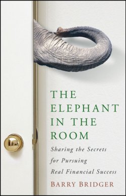Книга "The Elephant in the Room. Sharing the Secrets for Pursuing Real Financial Success" – 