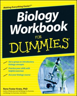 Книга "Biology Workbook For Dummies" – 