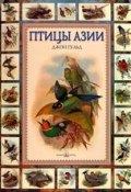 Птицы Азии (Евгений Коблик, 2005)