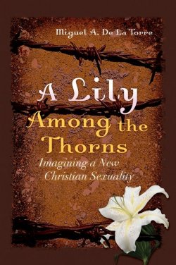 Книга "A Lily Among the Thorns. Imagining a New Christian Sexuality" – 
