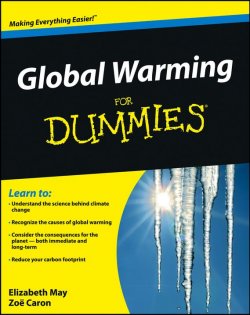 Книга "Global Warming For Dummies" – 