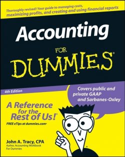 Книга "Accounting For Dummies" – 