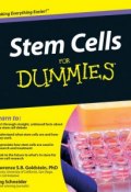 Stem Cells For Dummies ()