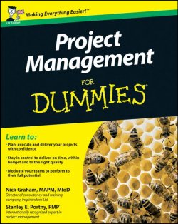 Книга "Project Management For Dummies" – 