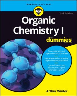 Книга "Organic Chemistry I For Dummies" – 