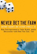 Never Bet the Farm. How Entrepreneurs Take Risks, Make Decisions -- and How You Can, Too ()