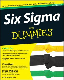 Книга "Six Sigma For Dummies" – 