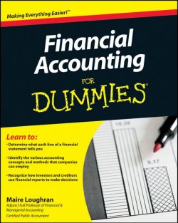 Книга "Financial Accounting For Dummies" – 