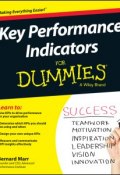 Key Performance Indicators For Dummies ()