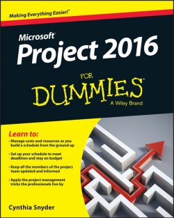 Книга "Project 2016 For Dummies" – 