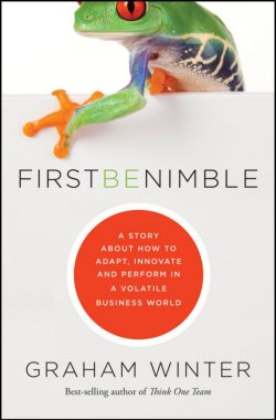 Книга "First Be Nimble. A Story About How to Adapt, Innovate and Perform in a Volatile Business World" – 