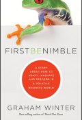 First Be Nimble. A Story About How to Adapt, Innovate and Perform in a Volatile Business World ()