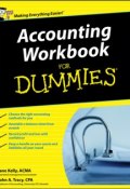Accounting Workbook For Dummies ()