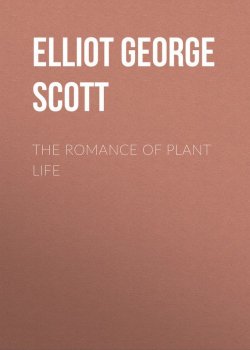 Книга "The Romance of Plant Life" – Francis Scott Fitzgerald, George Elliot