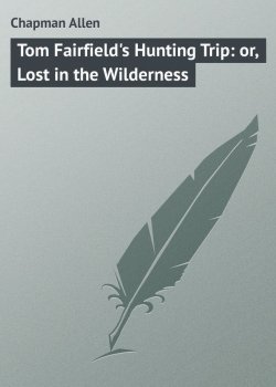 Книга "Tom Fairfield's Hunting Trip: or, Lost in the Wilderness" – Allen Chapman