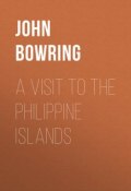 A Visit to the Philippine Islands (John Bowring)