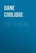 The Texican (Dane Coolidge)