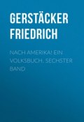 Nach Amerika! Ein Volksbuch. Sechster Band (Friedrich Gerstäcker)