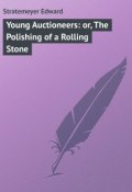 Young Auctioneers: or, The Polishing of a Rolling Stone (Edward Stratemeyer)