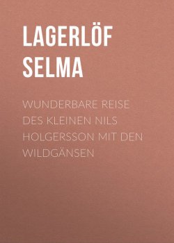 Книга "Wunderbare Reise des kleinen Nils Holgersson mit den Wildgänsen" – Selma Lagerlöf