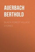 Black Forest Village Stories (Berthold Auerbach)