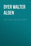 The Dogs of Boytown (Walter Dyer)