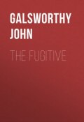 The Fugitive (John Galsworthy, Джон Голсуорси)