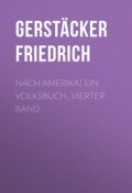 Nach Amerika! Ein Volksbuch. Vierter Band (Friedrich Gerstäcker)