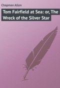 Tom Fairfield at Sea: or, The Wreck of the Silver Star (Allen Chapman)