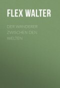 Der Wanderer zwischen den Welten (Walter Flex)