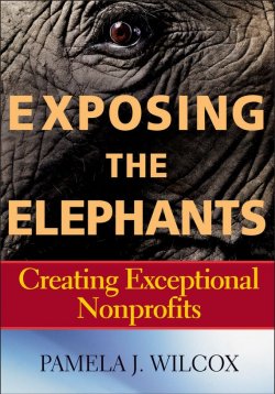 Книга "Exposing the Elephants. Creating Exceptional Nonprofits" – 