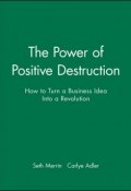 The Power of Positive Destruction. How to Turn a Business Idea Into a Revolution ()