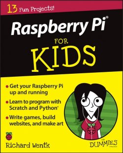 Книга "Raspberry Pi For Kids For Dummies" – 
