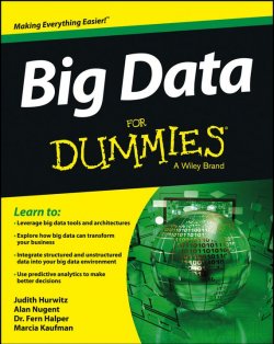 Книга "Big Data For Dummies" – 